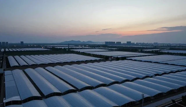 企业网行业分类导航的适用条件与选择依据